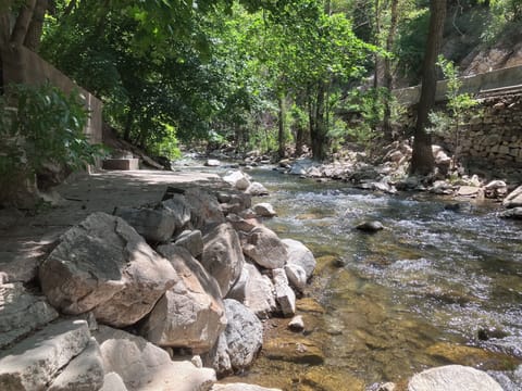 River Patio