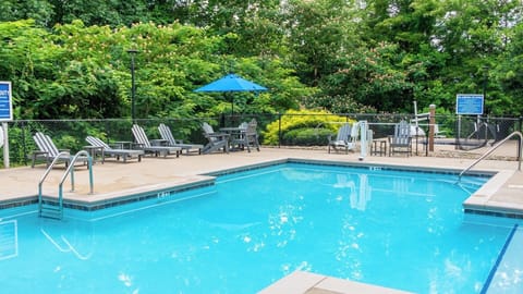 Outdoor Pool • Lounge Chairs, Blue Umbrella & Wooded Setting