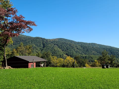 Beautiful view