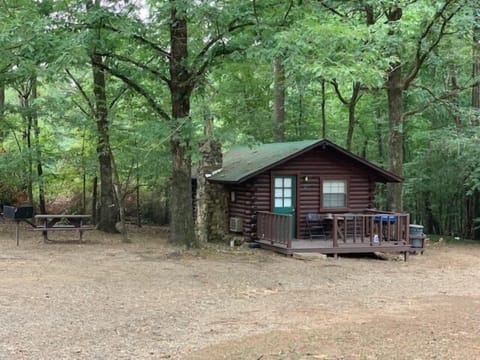 image6 (2)