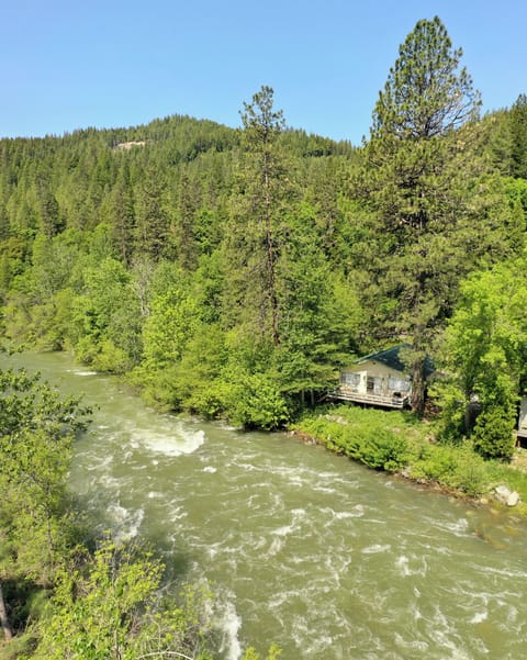 Spring time on the river