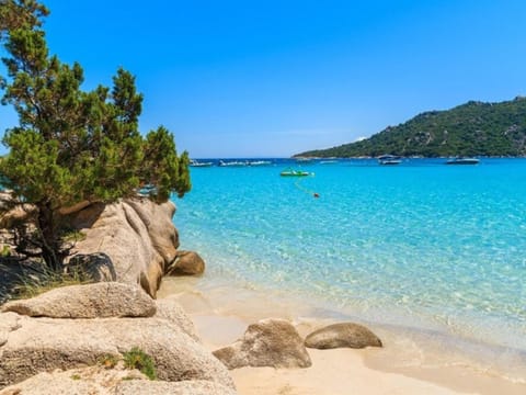 Region [summer] (>5 km)