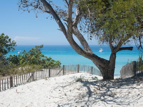 Surroundings [summer] (1-5 km)