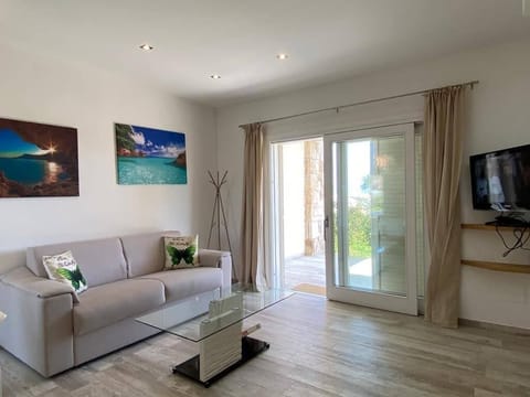 32-inch LCD TV with satellite channels, TV, toys