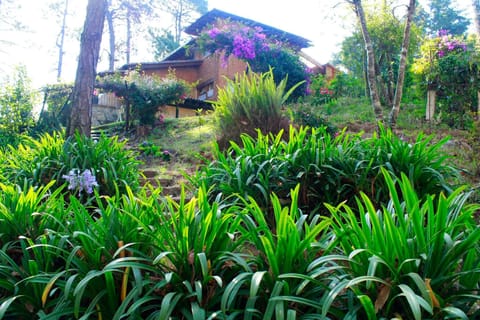 House, 3 Bedrooms, Smoking, Private Pool | Property grounds