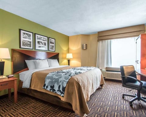 Standard Single Room, 1 King Bed | Desk, iron/ironing board, free WiFi, bed sheets