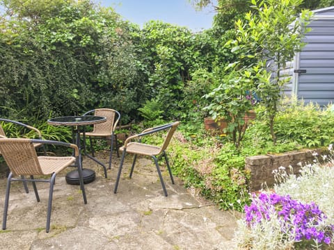 Outdoor area | Woodville, Porthmadog