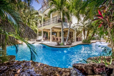 Its A Jungle Out There - By Anna Maria Island Accommodations