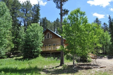 Cabin in the summertime!