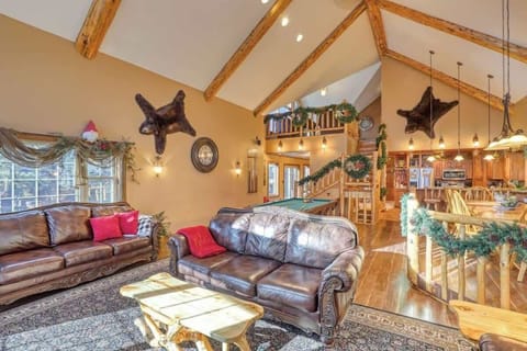 Living area with Bear rug