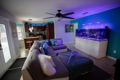 Living Room, Room, Indoors, Couch, Furniture