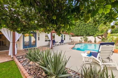 Lush backyard retreat with sparking pool, shaded gathering spots, & orange tree