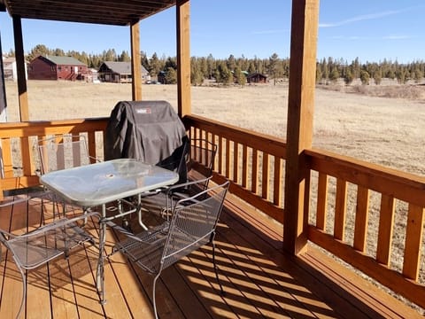 Back Patio with BBQ Grill