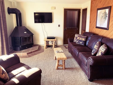 Livingroom with a Queen size sleeper sofa 