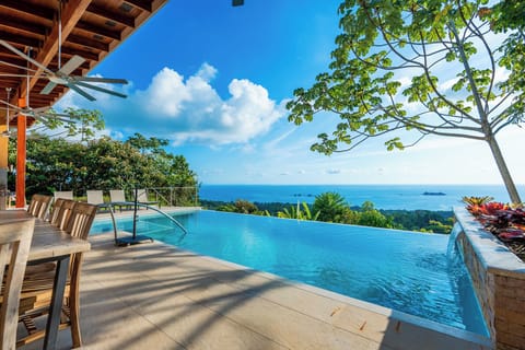 Lounge in the pool overlooking the Ballena National Park and rainforest below