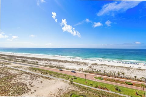 Stunning aerial perspective showcasing pristine white sand beaches meeting turquoise Gulf waters, with palm-lined coastal roadways and sun-soaked shores perfect for beach days.