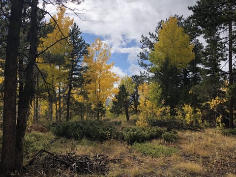 another awesome spot on the ranch 
