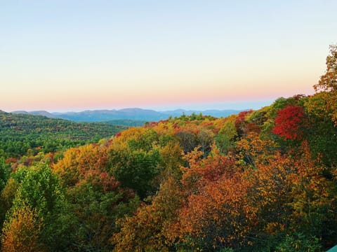 Fall colors never cease to amaze!!