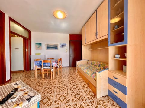 Apartment, 1 Bedroom, Balcony, Ocean View | Living room | TV