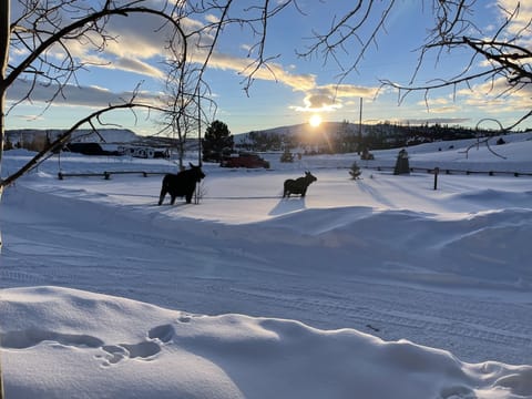 Enjoy beautiful sunsets from the front porch