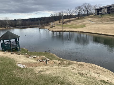 Condo overlooks pond and Pointe Royal golf course