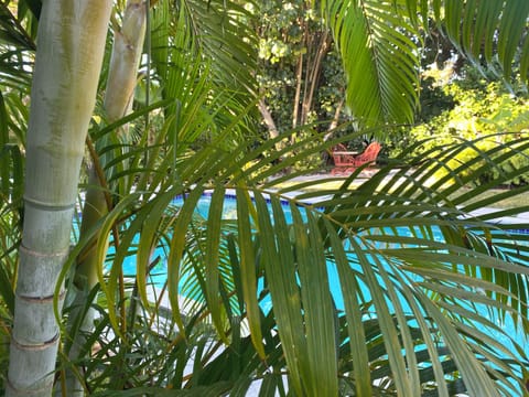 Secluded pool in a private, fully fenced backyard.