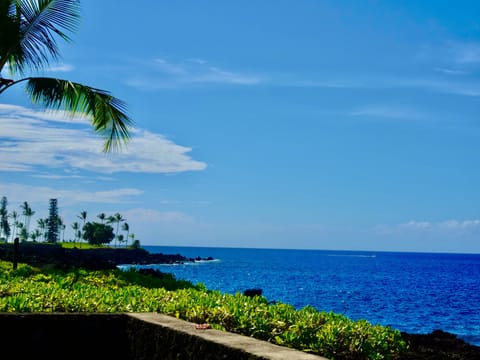 Welcome to Paradise! This is your lanai view!    