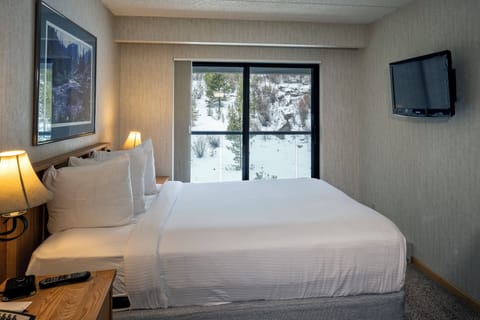 Suite, 1 Bedroom, Mountainside | Individually furnished, laptop workspace, iron/ironing board