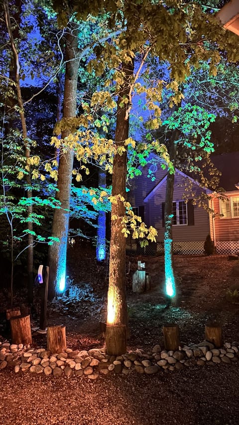 Little Enchanted Forest