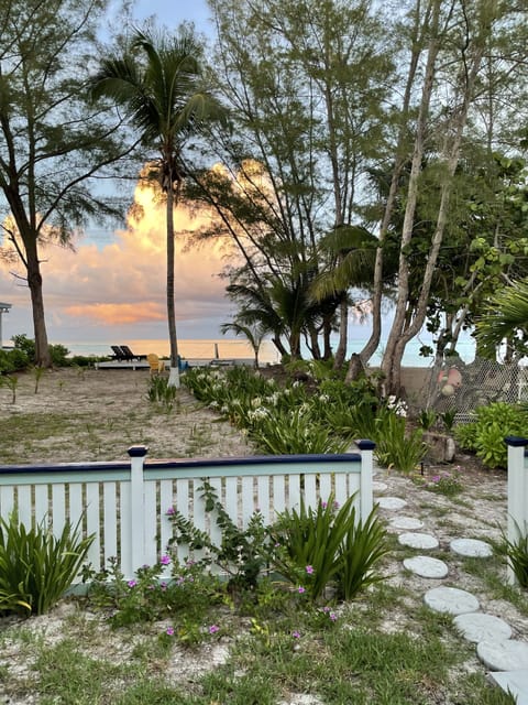 Palmetto Cottage with perfect views!
On the beachside.