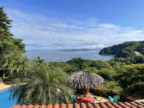 View from the Balcony
