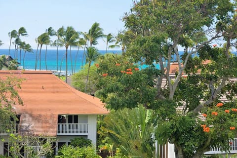 Beautiful gardens, ocean views, 3 minute walk to the beach!