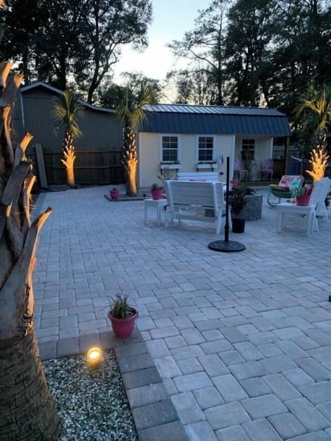 Lit palm trees at night! 🌴