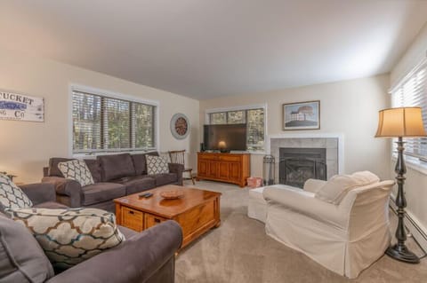 Fireplace not available for guest use.