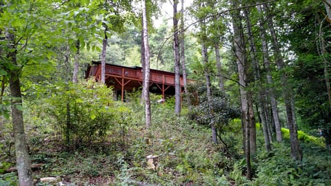 View up to Cabin from road