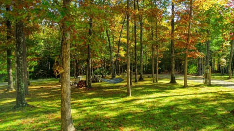 Picturesque lawn with fire pit and hammock