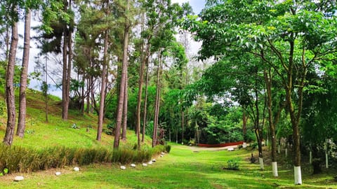 Family Shared Dormitory, Garden View, Ground Floor | Front of property