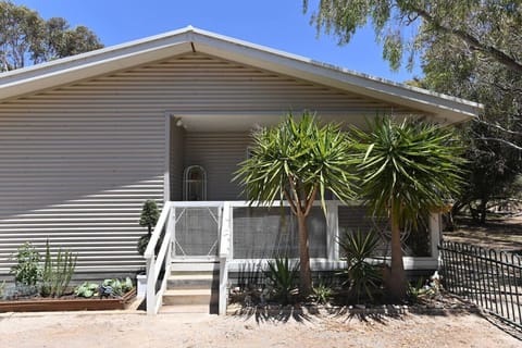 The exterior of a modern, corrugated metal house with a gabled roof and a small front porch. A short staircase with white railings leads up to the porch, which is partially enclosed with mesh panels. Two tall, spiky green plants frame the front area, with