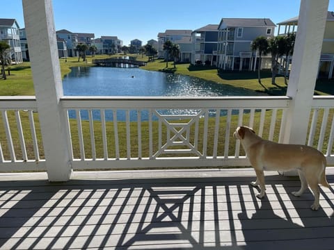 Enjoy the view from the balcony!