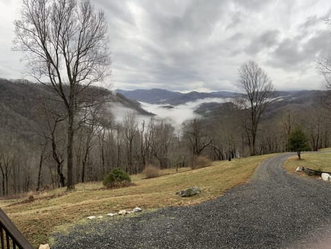 View from Front Porch