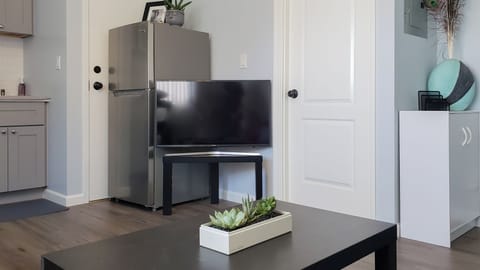 Living room: television and full-size refrigerator.