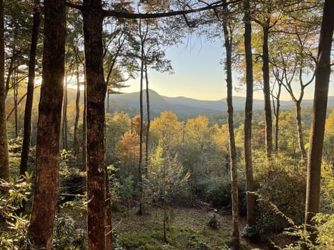 Watch the sunset off the back deck!