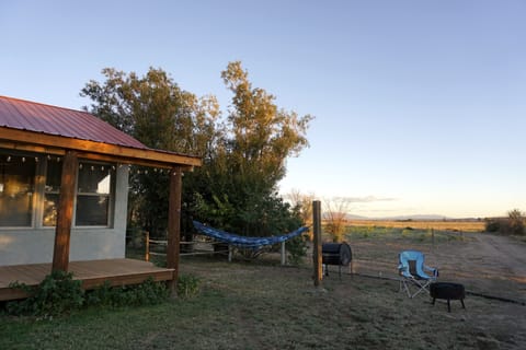 Grill, hammock, and small fireplace