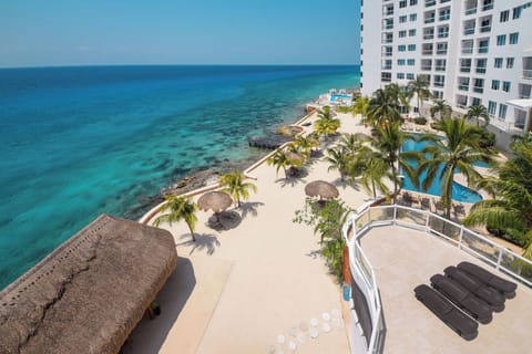 Sunbathe with a cocktail in hand under the coastal sun or in the comfortable shade!