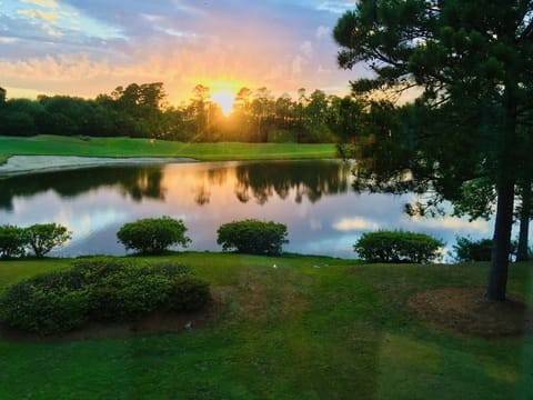 View of True Blue Hole #4