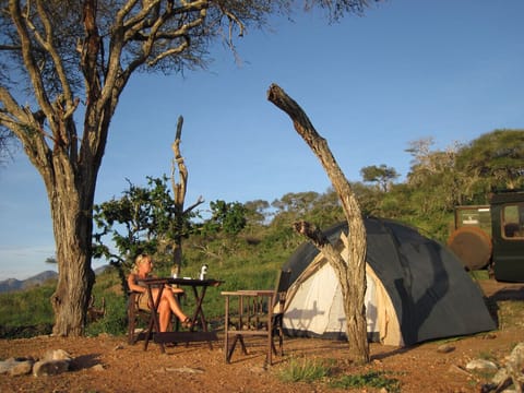 Tent | Bed sheets