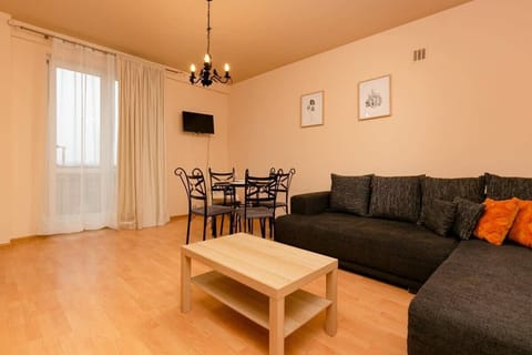 Living room with a comfortable sofa and TV. 