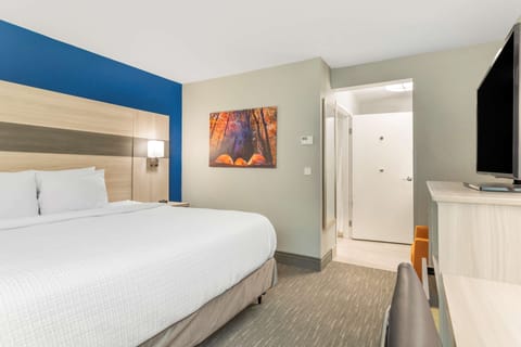 Hypo-allergenic bedding, down comforters, desk, laptop workspace