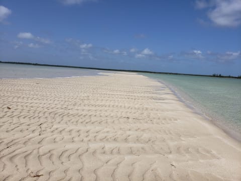 Exposed sand bank during low tide, just out your doors!