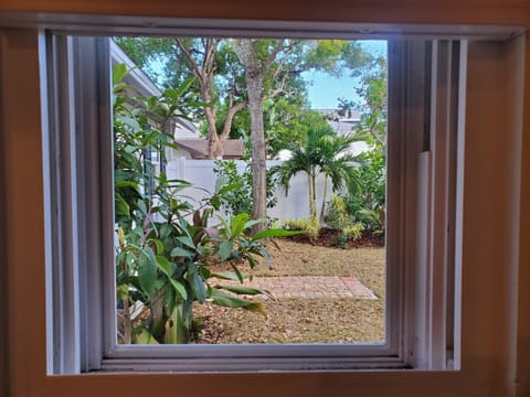  View of tropical and grass yard out window